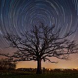 Hageland by night
